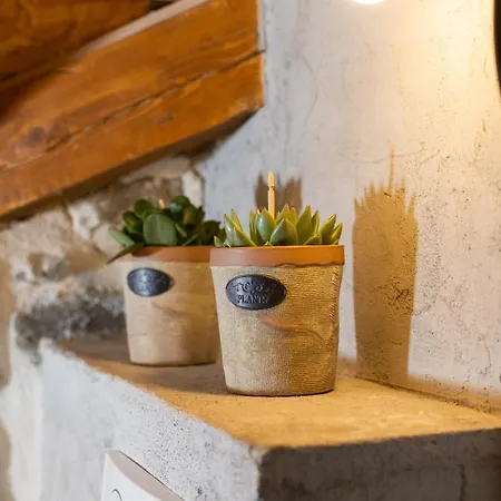 Ps Heritage Stone House Apartman Split